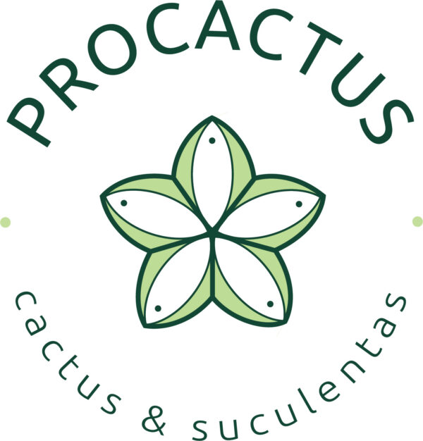 Esperando la imagen de producto